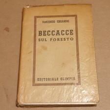 BECCACCE SUL FORESTO, Vincenzo