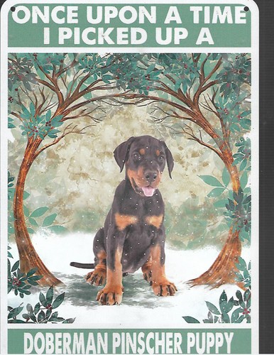 Doberman pinscher cucciolo - doberman,