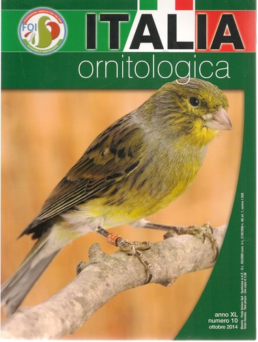 Italia ornitologica ottobre - italia,