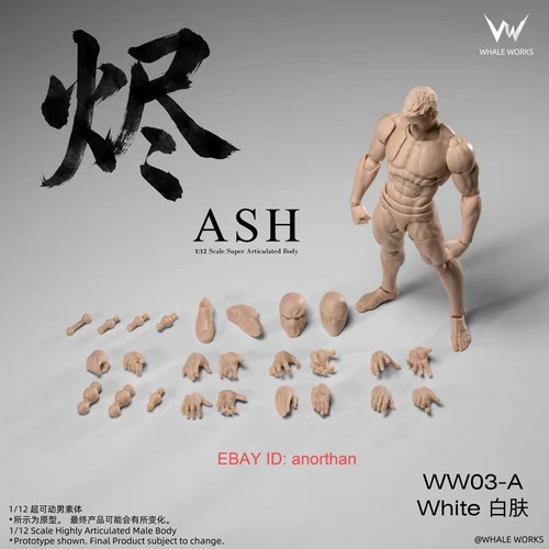 Corpo action figure maschile