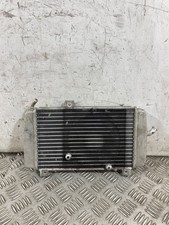 109690 Radiatore Acqua