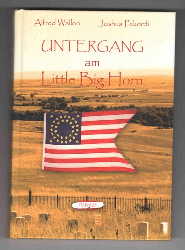Affondamento sul little big - affondamento,