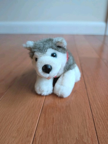 Costruisci orso husky cane - orso,