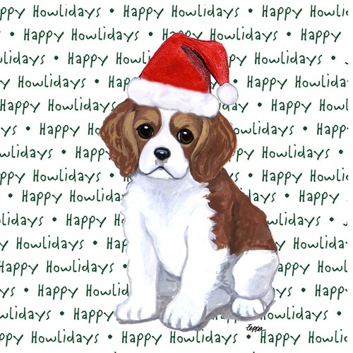 Cavalier king charles - cavalier,