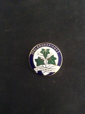 Rare Vintage Enamel Lapel Pin