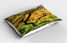 Fodera Cuscino Chic Federa