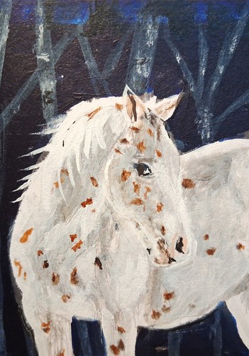 Cavallo leopardo appaloosa - cavallo,