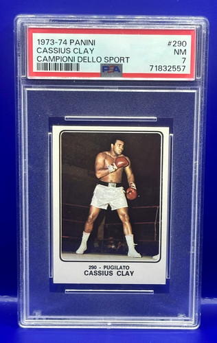 1973 panini campioni - -,