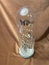 Teca in vetro e legno con farfalle