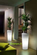 VASO RESINA ILLUMINATO ALTO 85 LUMINOSO KIT LUCE LED