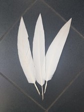 Penna aquila flex ginnica - , d'aquila