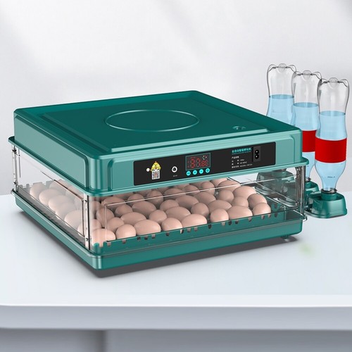 Incubatrice uova per cova - per,
