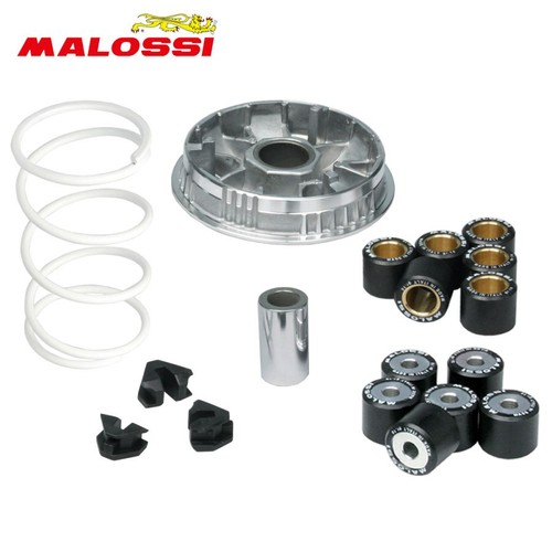 Variatore malossi multivar - malossi,