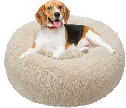 Cuccia per gatti - cuccia, letto