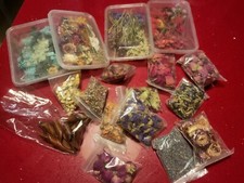 fiori secchi naturali