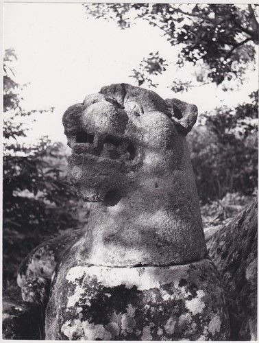 Baugey giardini bomarzo - giardini, *
