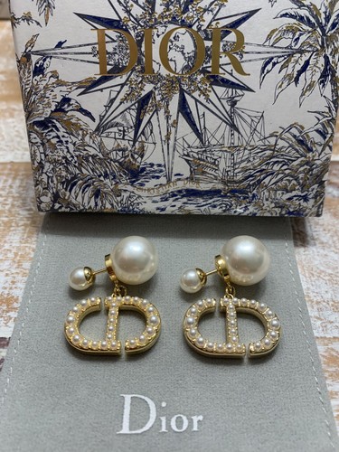 Orecchini dior fashion - orecchini,