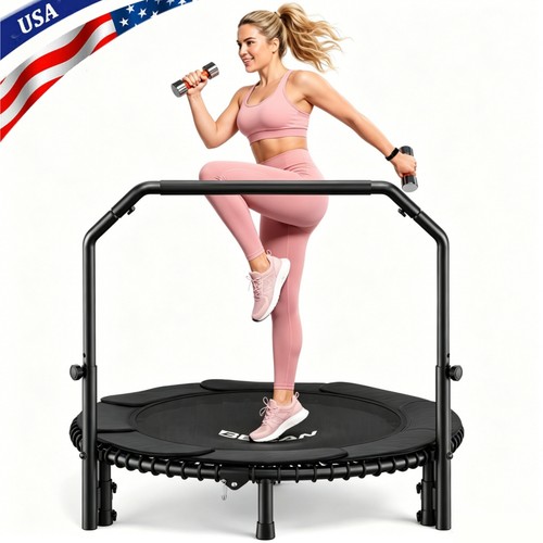 Fed fitness mini - fed,