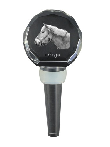 Haflinger più grosso tappo