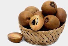 Sapodilla fresca (Nispero) - 3