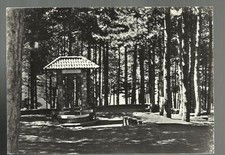 GAMBARIE D' ASPROMONTE