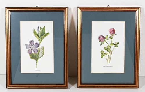 Stampe vintage fiori - vintage, di