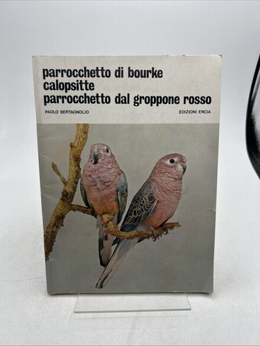 Parrocchetto bourke - di,
