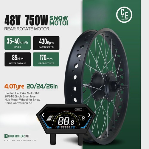 Fat bike elettrica - , neve
