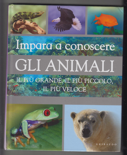 Impara conoscere gli - s.,