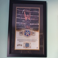 Anello Rhea Ripley usato tela