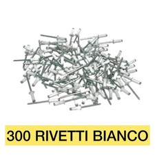 300 RIVETTO RIVETTI TARGA AUTO CAMION MOTO 4,8x12 COLORI BIANCO
