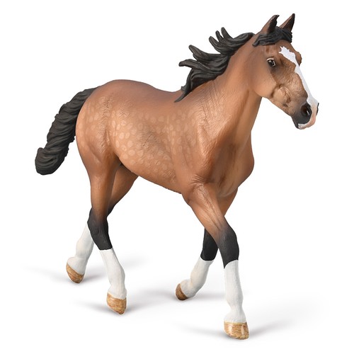 Collecta standardbred pacer - collecta,