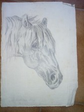 COD. 27 DISEGNO A MATITA FIRMATO MERCHIONE INES PRINCIPI 900 TESTA CAVALLO