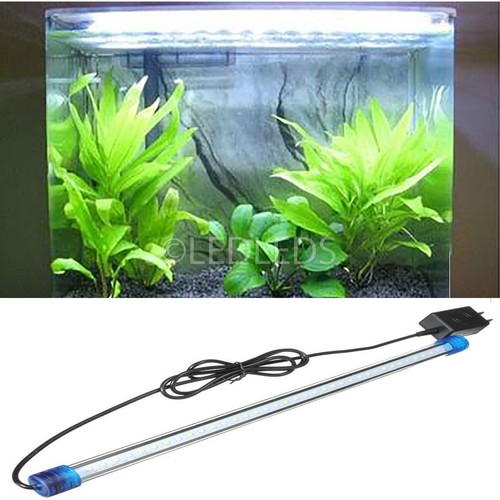 Luce acquario plafoniera - luce,