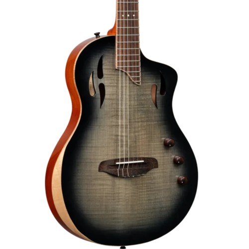 Ortega tourplayer thinline - ortega,