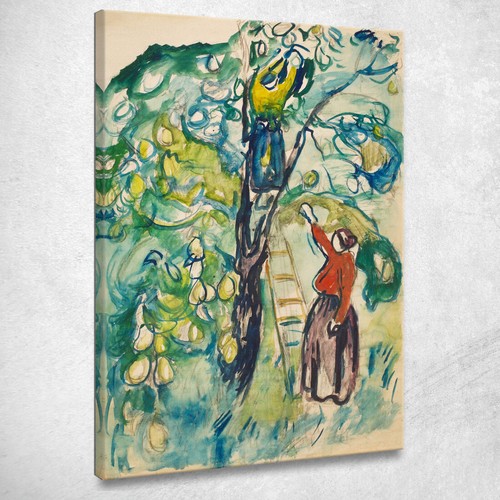 Donne raccolgono frutti - le,