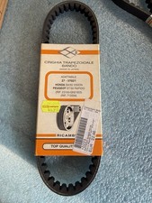 10223 Cinghia Trapezoidale