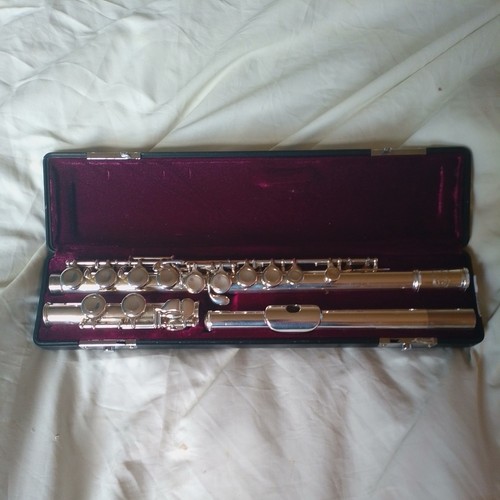 Flauto concerto modello - flauto,