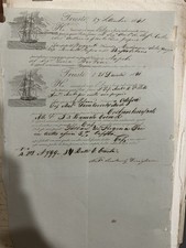 lotto 2 antichi documenti