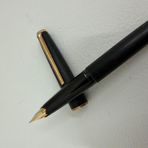 Penna stilografica p24 - stilografica,