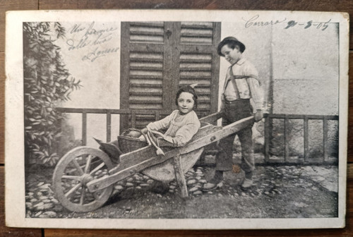 1905 carrara cariola 81105 - 1905, in
