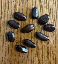 10 Stratified 2025 Wild Ohio