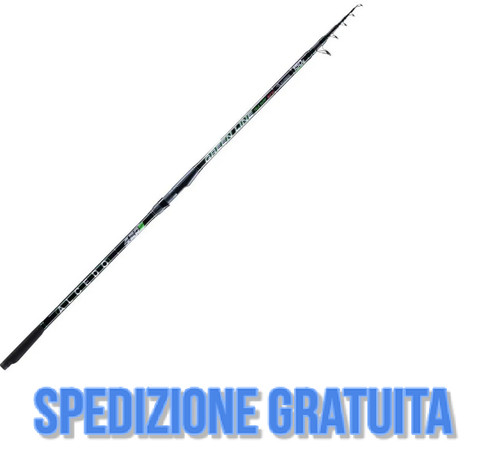 Canna alcedo green linemt 20 - green,