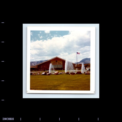 Square color photo - color, buffalo