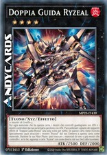 DOPPIA GUIDA RYZEAL •