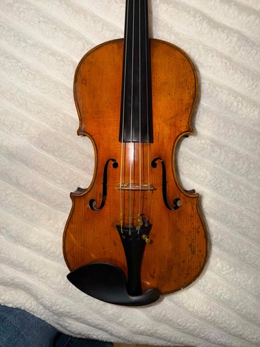 Custodia per violino - custodia, alt