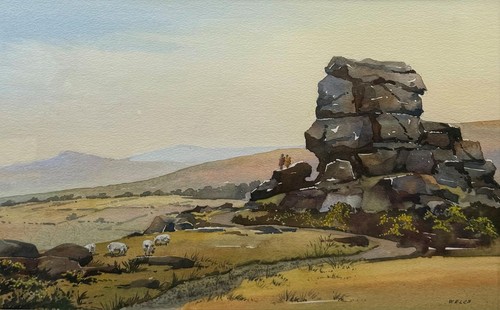 View dartmoor national - of,
