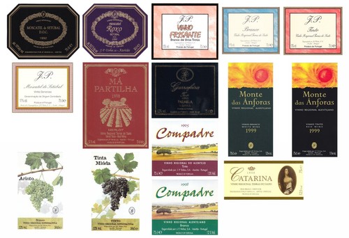 Collezione etichette vino - 15,