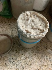 SAN Francisco lievito madre