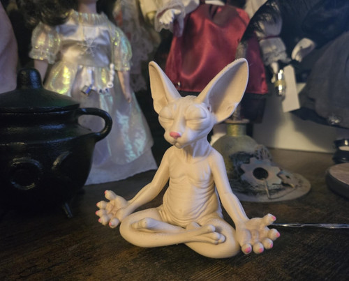 Meditazione sphynx gatto - sphynx,